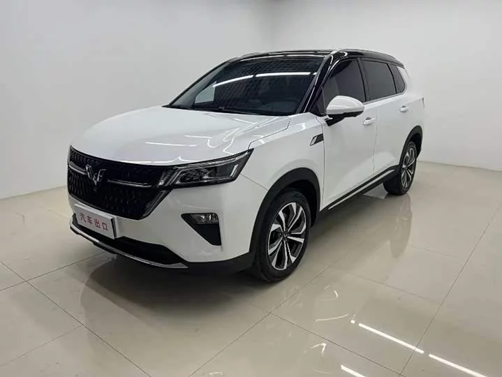 Wuling Star