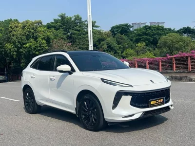 Forthing Fengxing T5 EVO