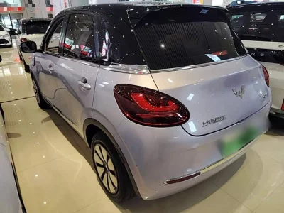 Wuling Bingo