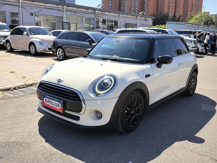 MINI 