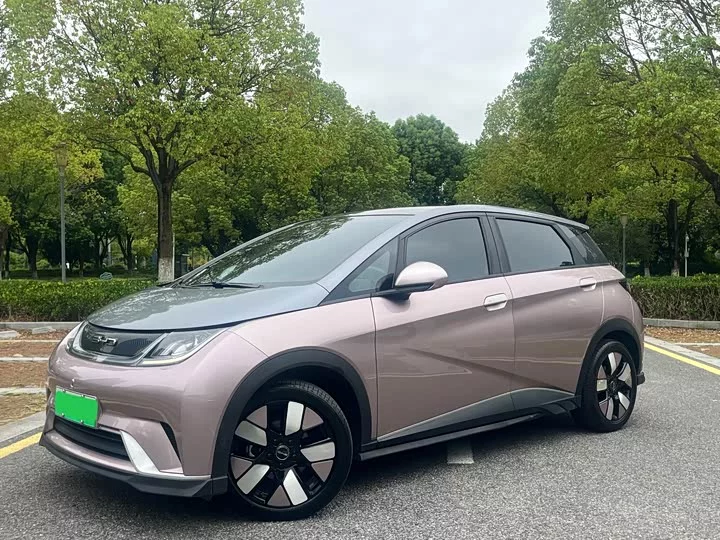 BYD Dolphin