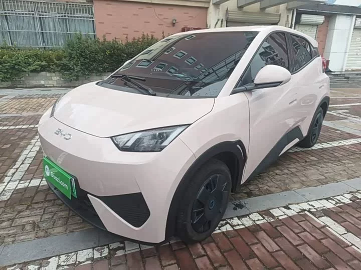 BYD Seagull