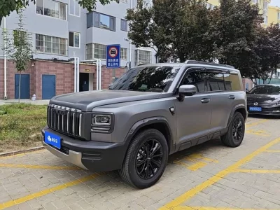 Haval Raptors Fuel