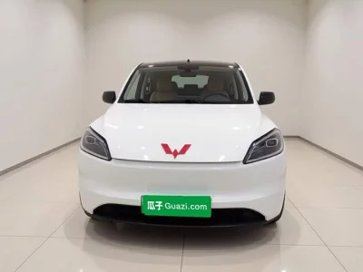 Wuling Hongguang New Energy