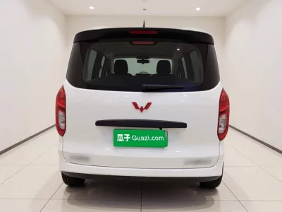 Wuling Hongguang New Energy