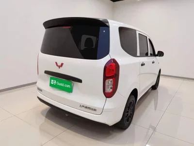 Wuling Hongguang New Energy