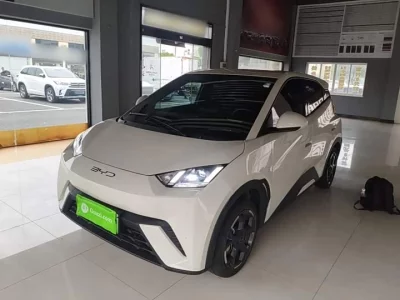 BYD Seagull