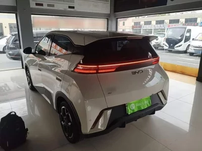 BYD Seagull