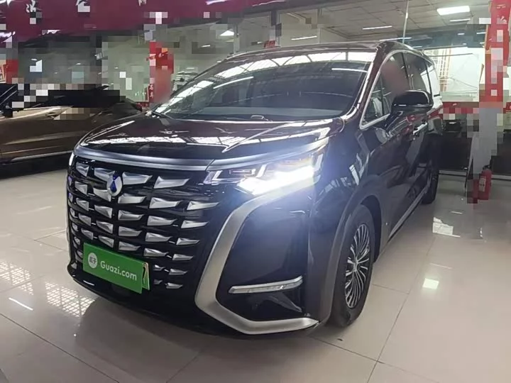 Denza D9