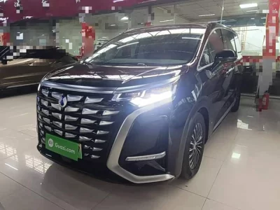 Denza D9