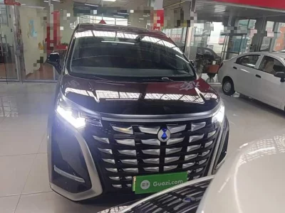 Denza D9