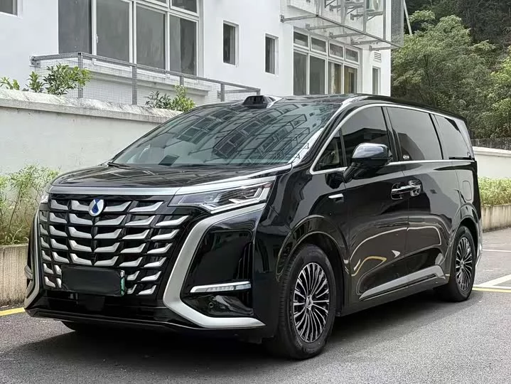 Denza D9