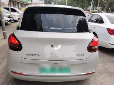 Wuling Bingo