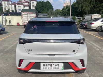 BYD Dolphin