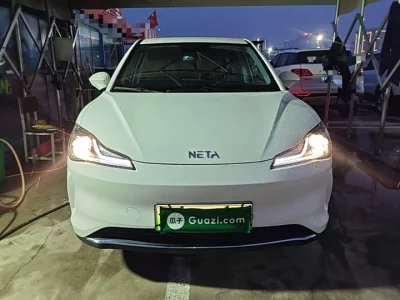 NETA V