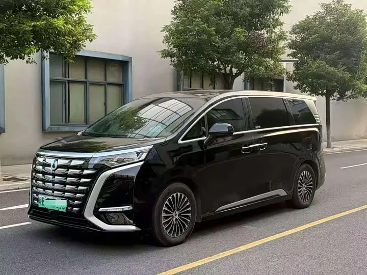 Denza D9