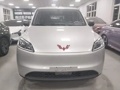 Wuling Hongguang New Energy