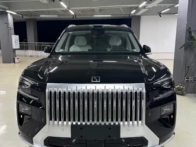 ZEEKR 8X