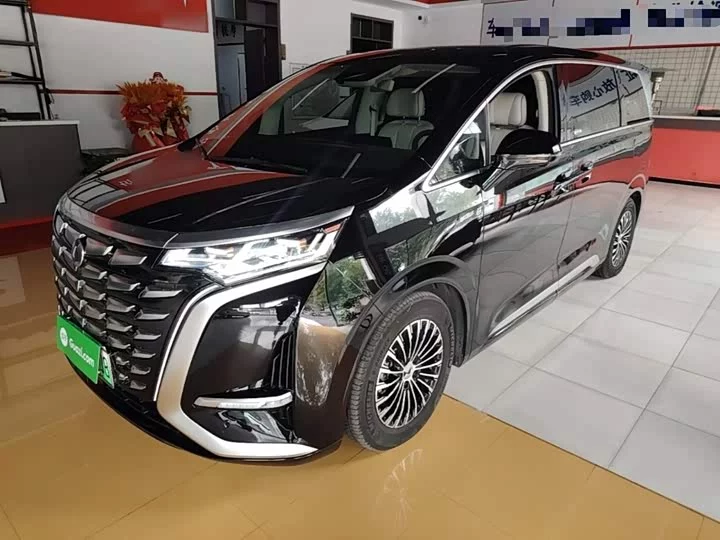 Denza D9