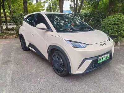 BYD Seagull