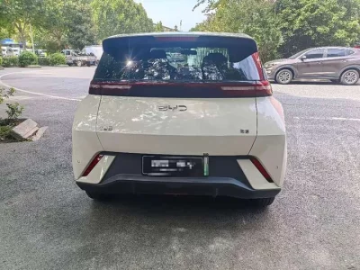 BYD Seagull