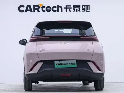 BYD Seagull