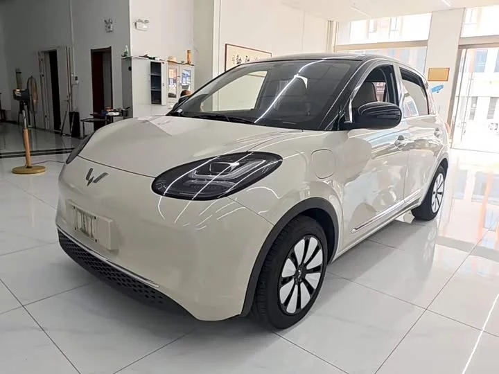 Wuling Bingo
