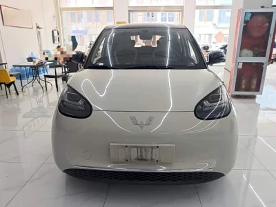 Wuling Bingo