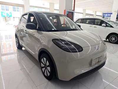 Wuling Bingo