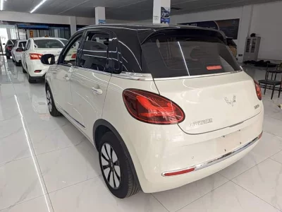 Wuling Bingo