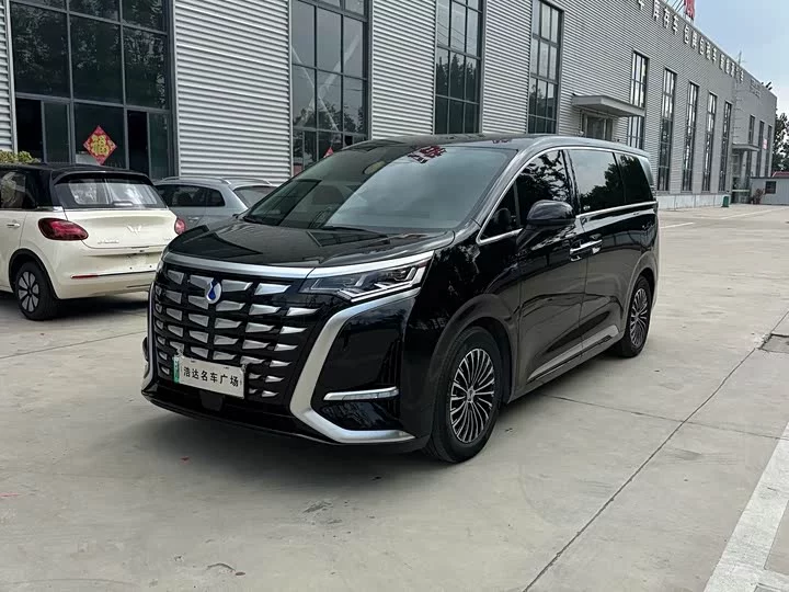 Denza D9