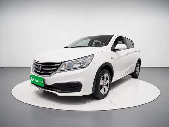 Baojun 310