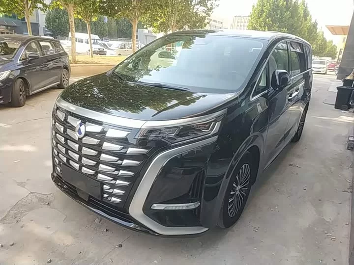 Denza D9
