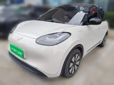 Wuling Bingo