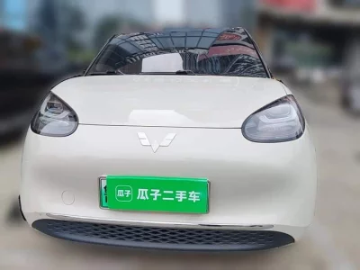 Wuling Bingo
