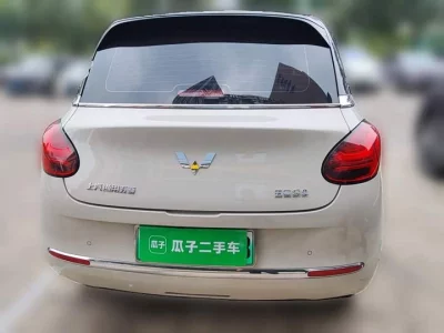 Wuling Bingo