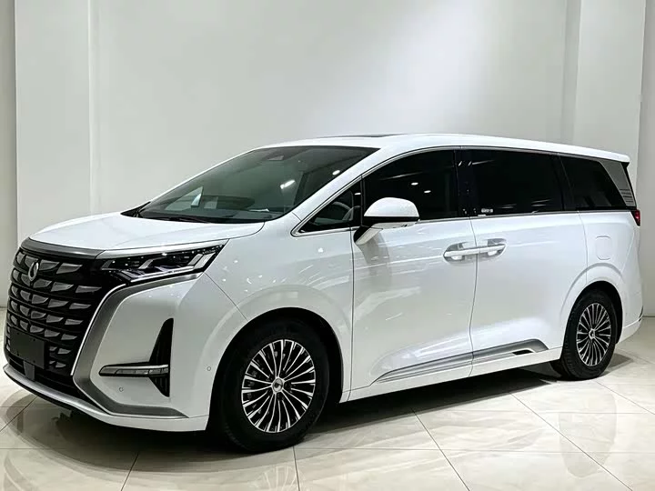 Denza D9