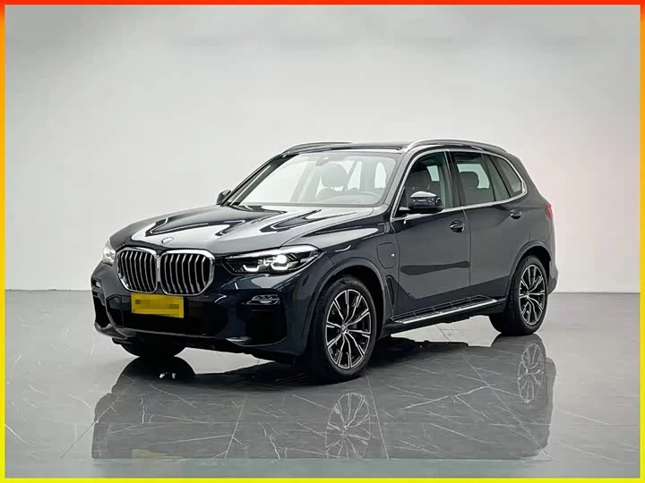 BMW X5 New Energy