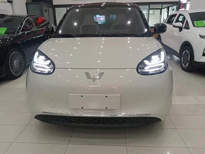 Wuling Bingo