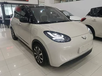 Wuling Bingo