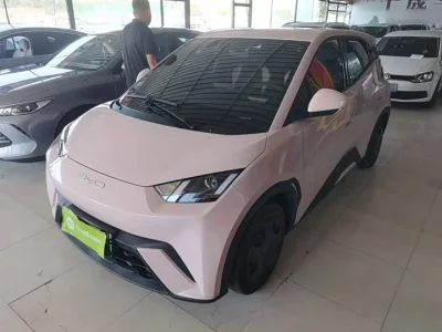 BYD Seagull