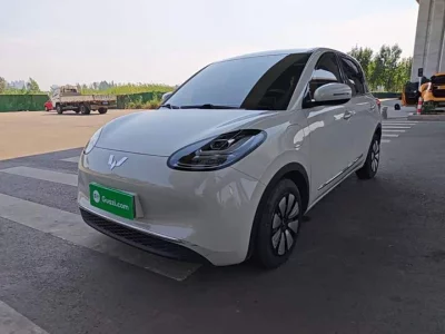 Wuling Bingo
