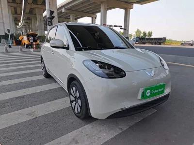 Wuling Bingo