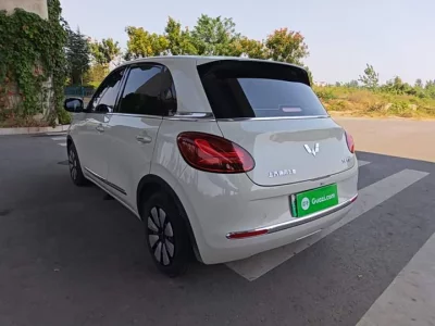 Wuling Bingo