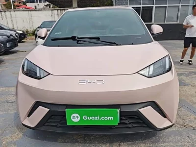 BYD Seagull