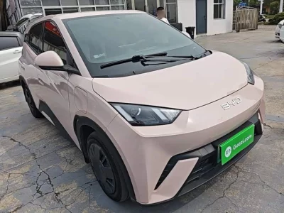 BYD Seagull