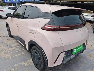 BYD Seagull