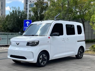 Wuling Zhiguang New Energy
