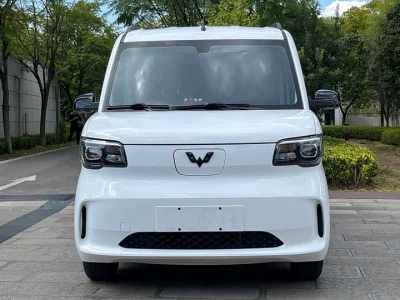 Wuling Zhiguang New Energy