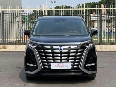 Denza D9